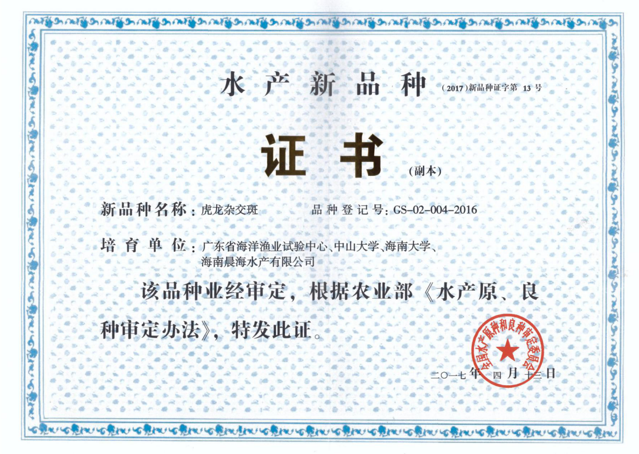 厲害了，我的“虎龍雜交斑”